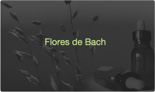 flores bach